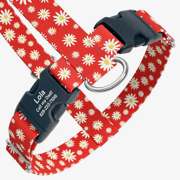 Example of personalized buckle